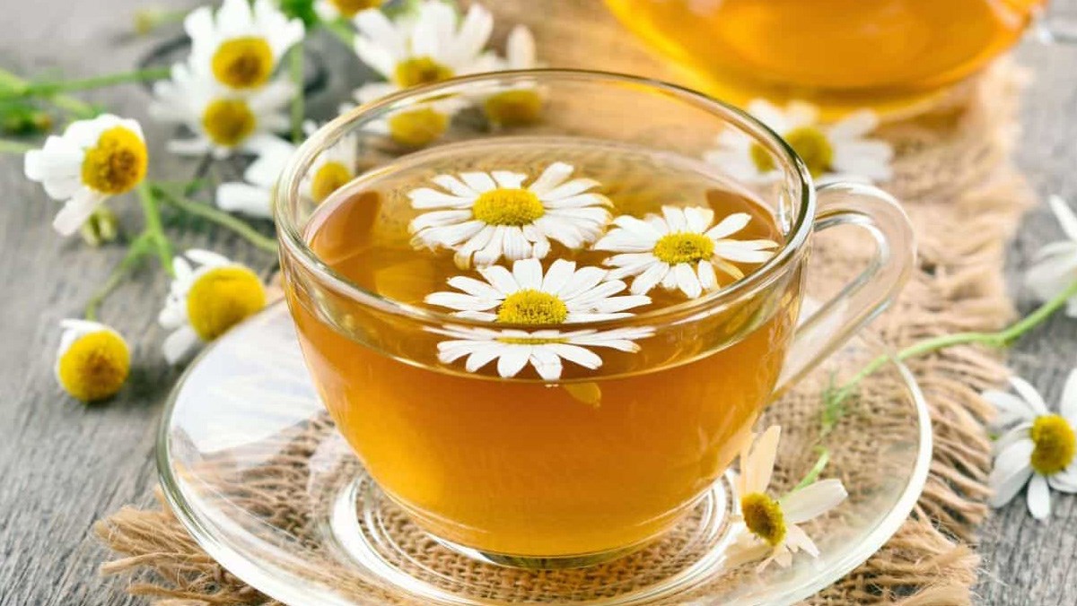 Bài thuốc chữa tê bì chân tay bằng trà hoa cúc mang lại hiệu quả cao